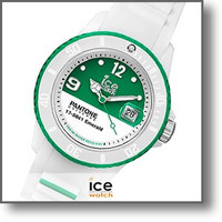 ACXEHb` rv ICE Watch pg[ PANBCWEMUS jZbNX #108882