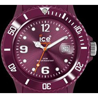 ACXEHb` ICE WATCH rv EB^[ SW.FG.U.S.11 43mm