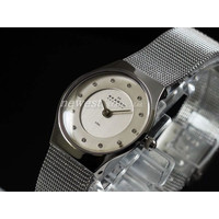 SKAGEN XJ[Q rv STEEL 233XSSZP x[W fB[X