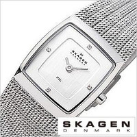 XJ[Q rv SKAGEN fB[X  380XSSS1